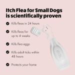 Itch Small Dog Flea, Tick & Wormer Bundle