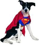 Superman Dog Costume - Blue/Red, X-Large