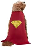 Superman Dog Costume - Blue/Red, X-Large