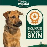 Winalot Shapes Dog Food, 800g Pack