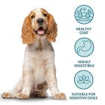 Burns Hypoallergenic Pork & Potato Dog Food 2kg