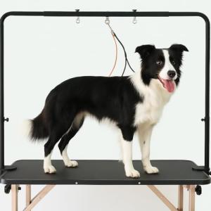 Overhead Dog Grooming Arm with Clamps and Harness