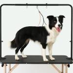 Overhead Dog Grooming Arm with Clamps and Harness