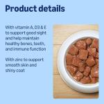 Beef Chunks in Gravy Wet Dog Food