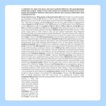 Beef Chunks in Gravy Wet Dog Food