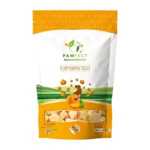 Pawfect Pumpkin Freeze-Dried Dog Treats