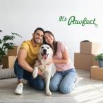 Pawfect Pumpkin Freeze-Dried Dog Treats