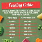 Harringtons Grain Free Mixed Flavour Wet Dog Food