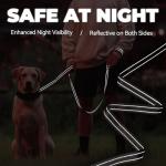 VIVAGLORY Reflective Dog Leash with Padded Handles