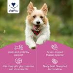 Flexi-Joints Plus for Dogs - 120 Beef Tablets