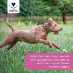 Flexi-Joints Plus for Dogs - 120 Beef Tablets