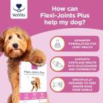 Flexi-Joints Plus for Dogs - 120 Beef Tablets