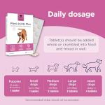 Flexi-Joints Plus for Dogs - 120 Beef Tablets