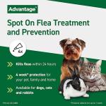 Advantage Flea Treatment for Medium Dogs, 4 Pipettes