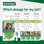 Advantage Flea Treatment for Medium Dogs, 4 Pipettes