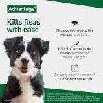 Advantage Flea Treatment for Medium Dogs, 4 Pipettes