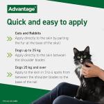 Advantage Flea Treatment for Medium Dogs, 4 Pipettes