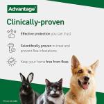 Advantage Flea Treatment for Medium Dogs, 4 Pipettes