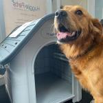 HugglePets Weatherproof Dog Kennel with Window, Grey Roof