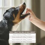 Beaphar Wormer for Large Dogs – 8 Tablets