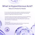 HICC PET Dog Ear Cleaner and Infection Treatment