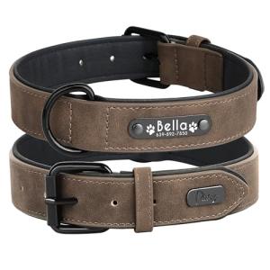 Personalized Leather Padded Dog Collar with Nameplate