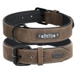 Personalized Leather Padded Dog Collar with Nameplate