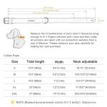 Personalized Leather Padded Dog Collar with Nameplate