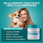 Organic Joint Health Supplements for Dogs - 188g