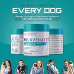 Organic Joint Health Supplements for Dogs - 188g