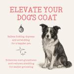 Salmon Oil for Dogs - Omega 3-6-9 Supplement