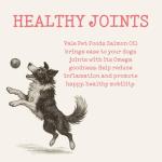 Salmon Oil for Dogs - Omega 3-6-9 Supplement
