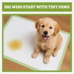 Pogi's Earth-Friendly Extra Large Training Pads