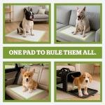 Pogi's Earth-Friendly Extra Large Training Pads