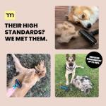 MalsiPree 2-in-1 Dog Grooming Brush for Shedding