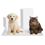Super Absorbent Puppy Pads, 6-Pack, Leak-Free