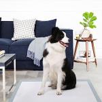 Super Absorbent Puppy Pads, 6-Pack, Leak-Free