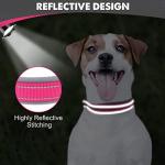 Joytale Reflective Dog Collar, Adjustable, Medium Pink