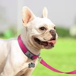 Joytale Reflective Dog Collar, Adjustable, Medium Pink