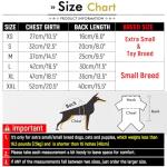 Cozy Green Fleece Vest for Small Dogs