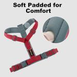 Adjustable No Pull Dog Harness with Padding - Red