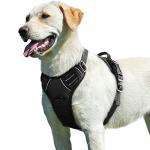 Eagloo Reflective No-Pull Dog Harness, Large