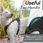 Eagloo Reflective No-Pull Dog Harness, Large