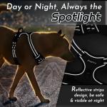 Eagloo Reflective No-Pull Dog Harness, Large