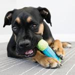 KONG CoreStrength Bone: Long-Lasting Toy for Dogs