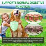 120 Dog Probiotic Chews for Gut Health