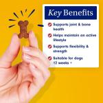 Daily Joint Care Chews for Active Dogs