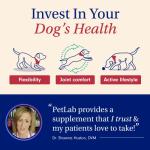 Daily Joint Care Chews for Active Dogs
