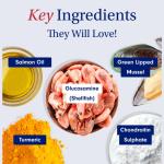 Daily Joint Care Chews for Active Dogs