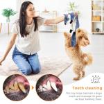 Newthinking Squeaky Dog Toys 5 Pack Plush for Dogs